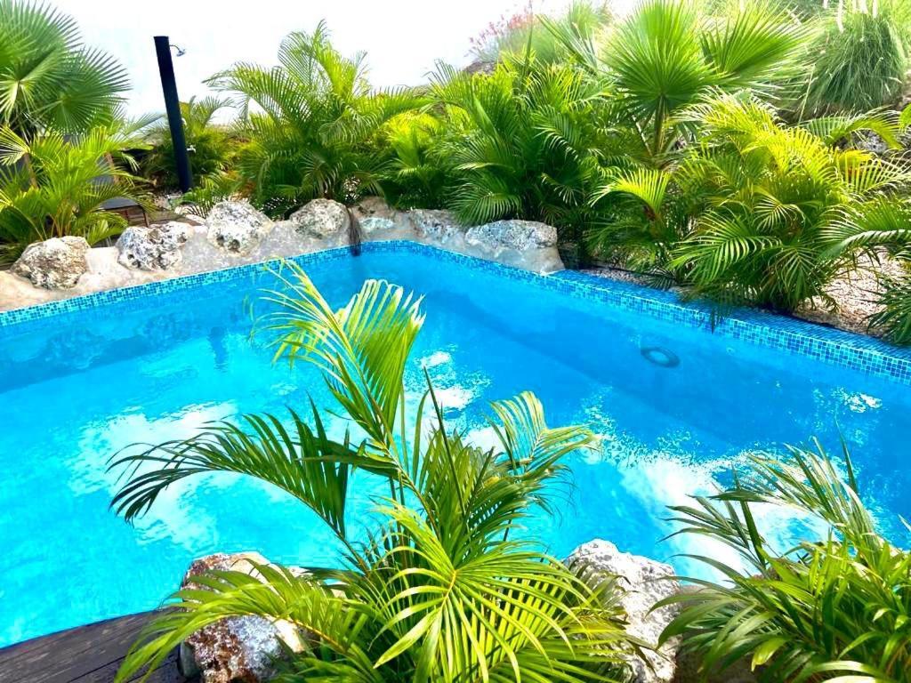 Neue Villa Tropic Paradise Willemstad Ngoại thất bức ảnh