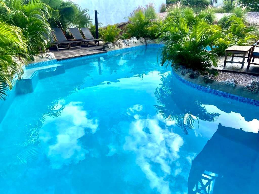 Neue Villa Tropic Paradise Willemstad Ngoại thất bức ảnh